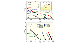 Anisotropy of the Upper Critical Field Under Pressure in the Heavy Fermion Superconductor UTe2