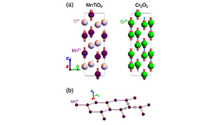 Magnetochiral dichroism in a collinear antiferromagnet with no magnetization