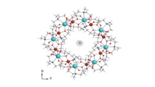 Toroidal State in {Fe8Dy8} Ring Identified by High-Frequency Electron Paramagnetic Resonance