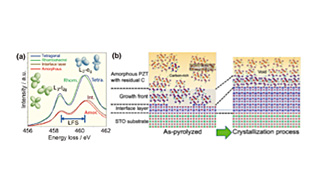 Self-Organized Solid-State Epitaxy of PZT Thin Films by Chemical Solution Deposition