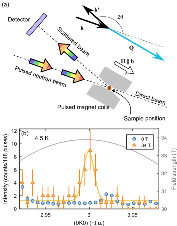 Magnetic structure and magnetoelectric properties of the spin-flop phase in LiFePO₄