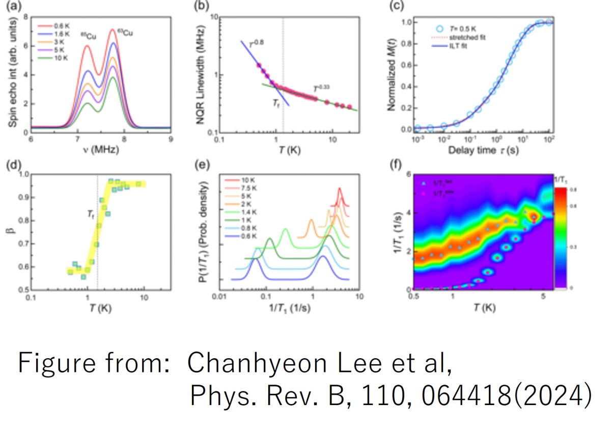 Dirac spinons intermingled with singlet states in the random kagome antiferromagnet YCu3⁢(OD)6+𝑥⁢Br3−𝑥 (𝑥=0.5)