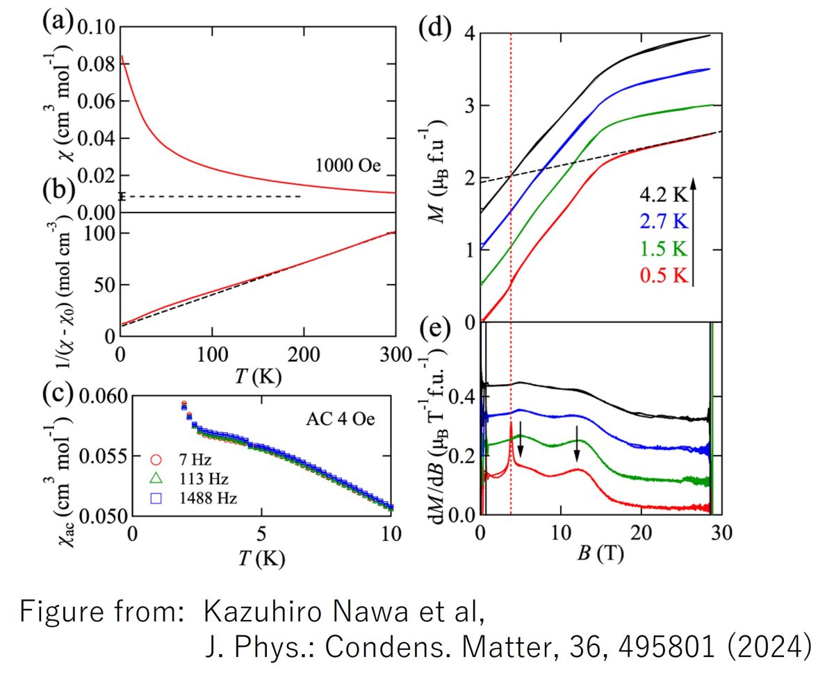 Magnetism of pseudospin-1/2 pyrochlore antiferromagnet Na3Co(CO3)2Cl