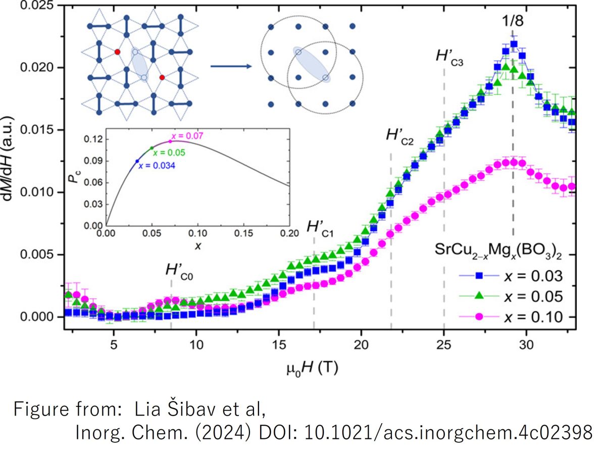 Higher-Magnesium-Doping Effects on the Singlet Ground State of the Shastry–Sutherland SrCu2(BO3)2