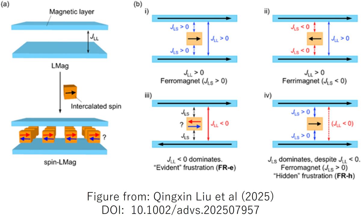 Guest-Induced Reversible Phase Conversion via Spin Frustration Relief in Spin-Intercalated Layered Antiferromagnets