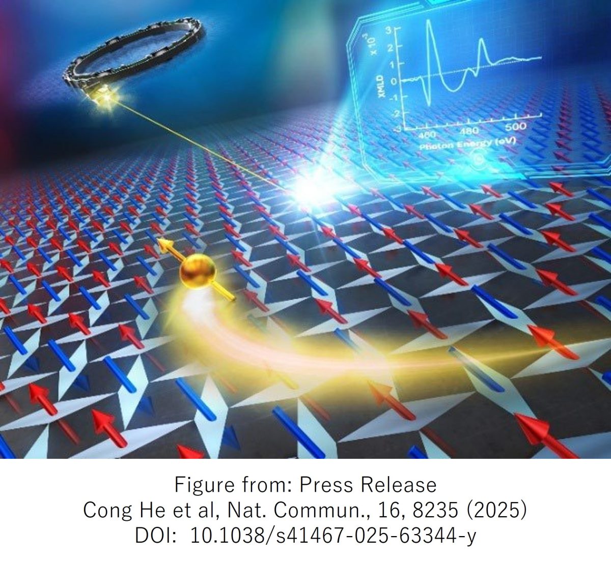 Evidence for single variant in altermagnetic RuO2(101) thin films
