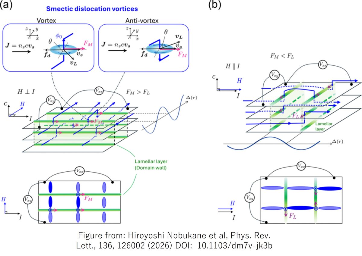 スメクチック磁束液晶におけるマグナス力支配型の渦ダイナミクスを実証～超伝導を“トポロジカル流体”として捉える新視点～